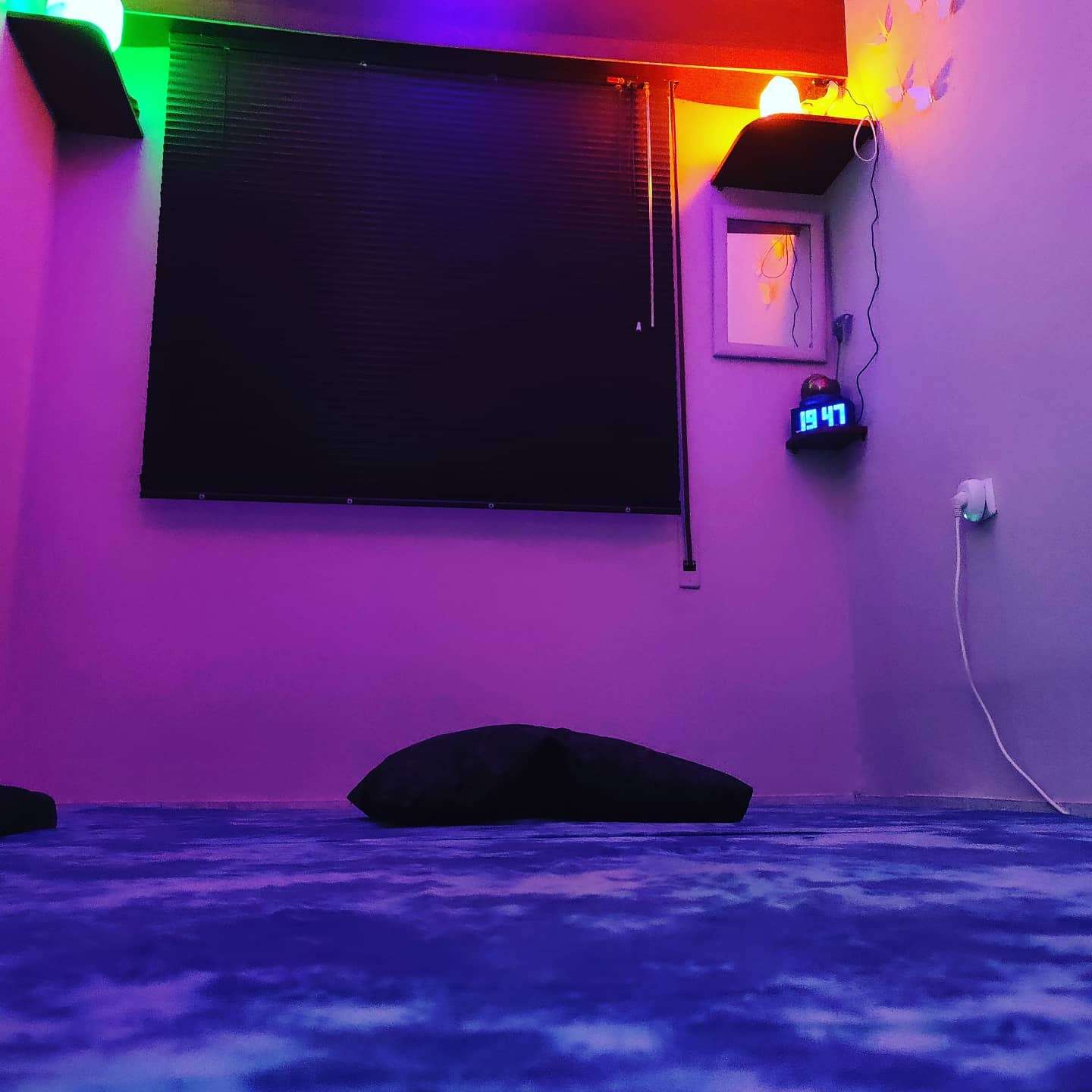 יניב מלמד image 2