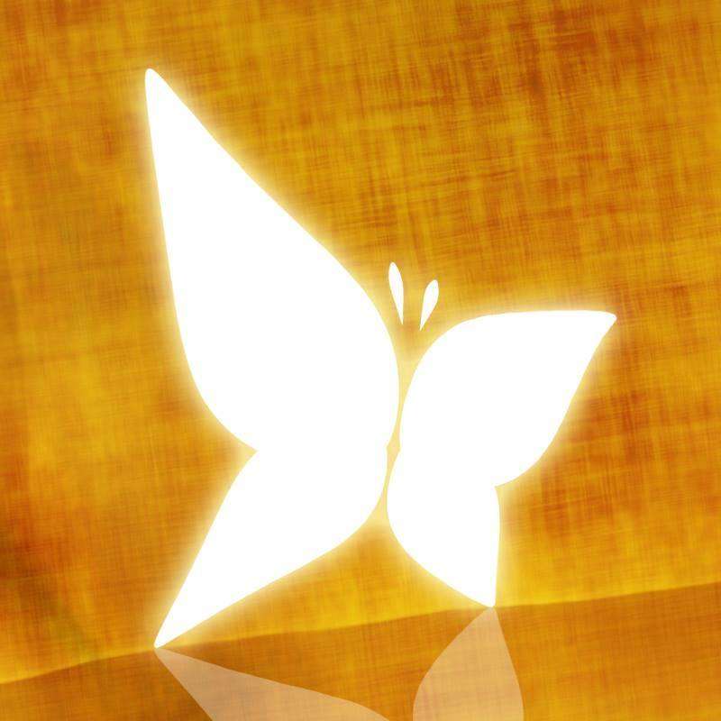 יניב מלמד image 3