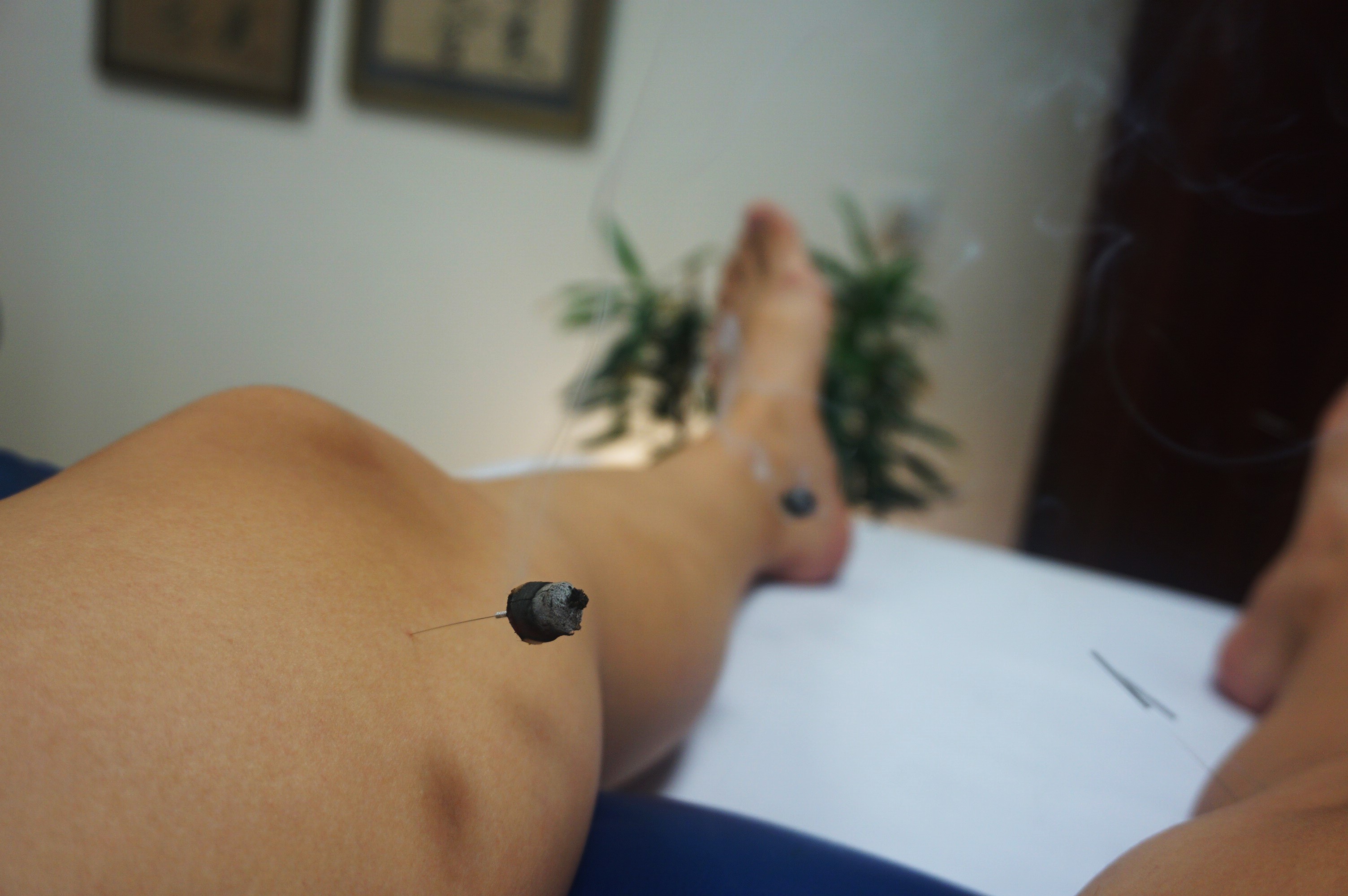 יעל לאמי image 2