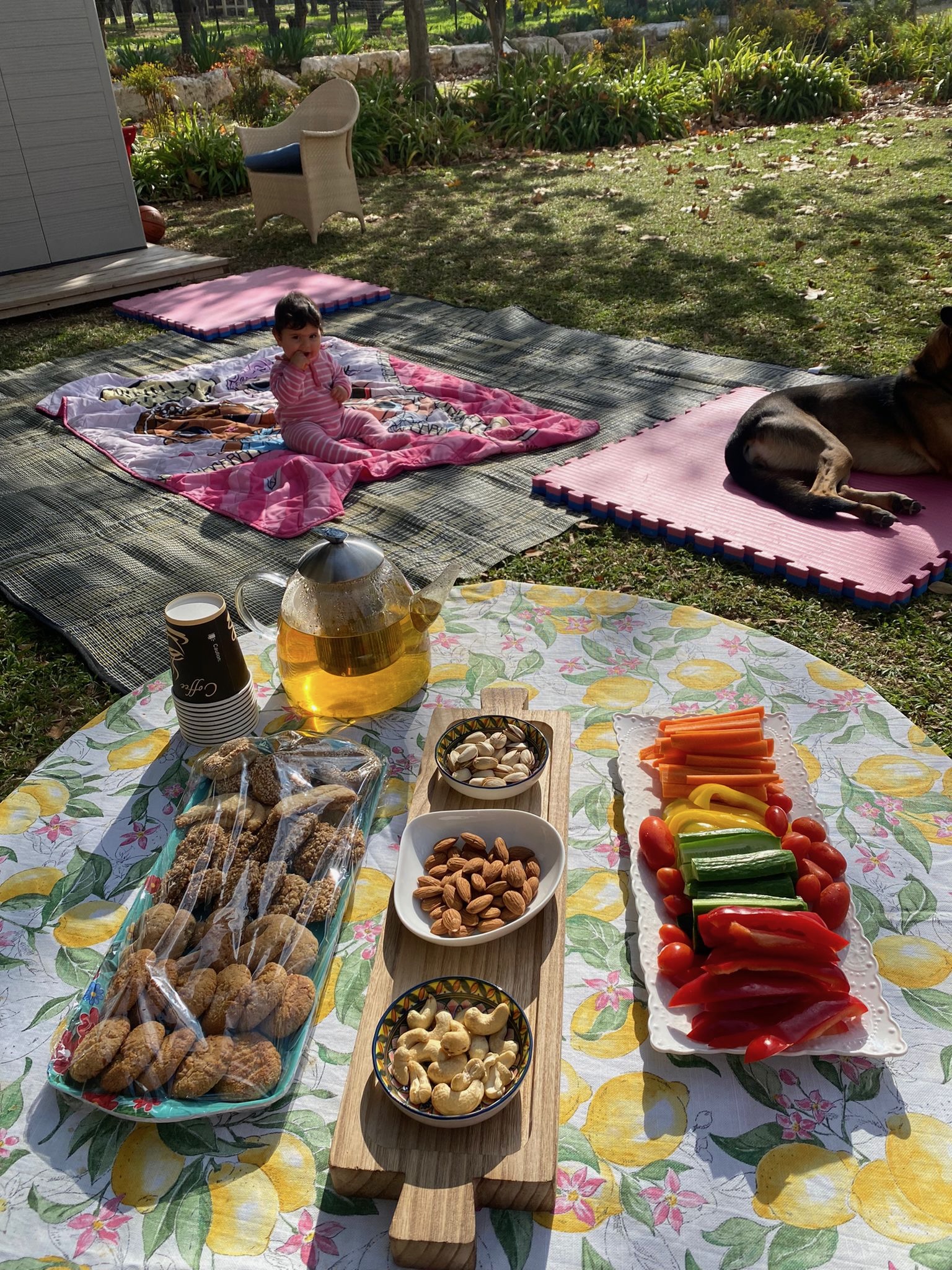 גלי וילר image 3