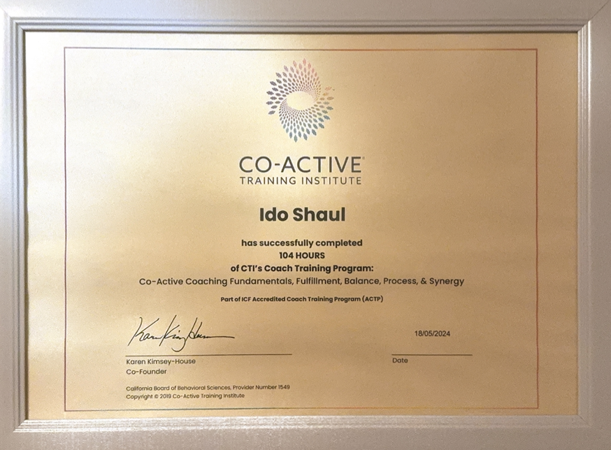 עדו שאול image 2