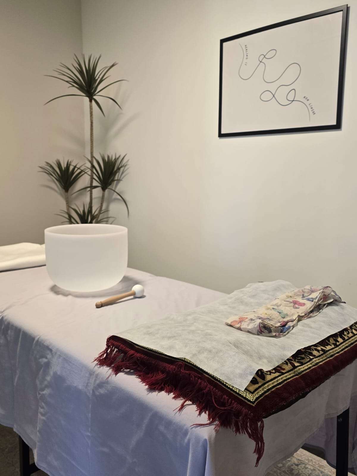 אנה בטש - להאיר את הדרך image 5