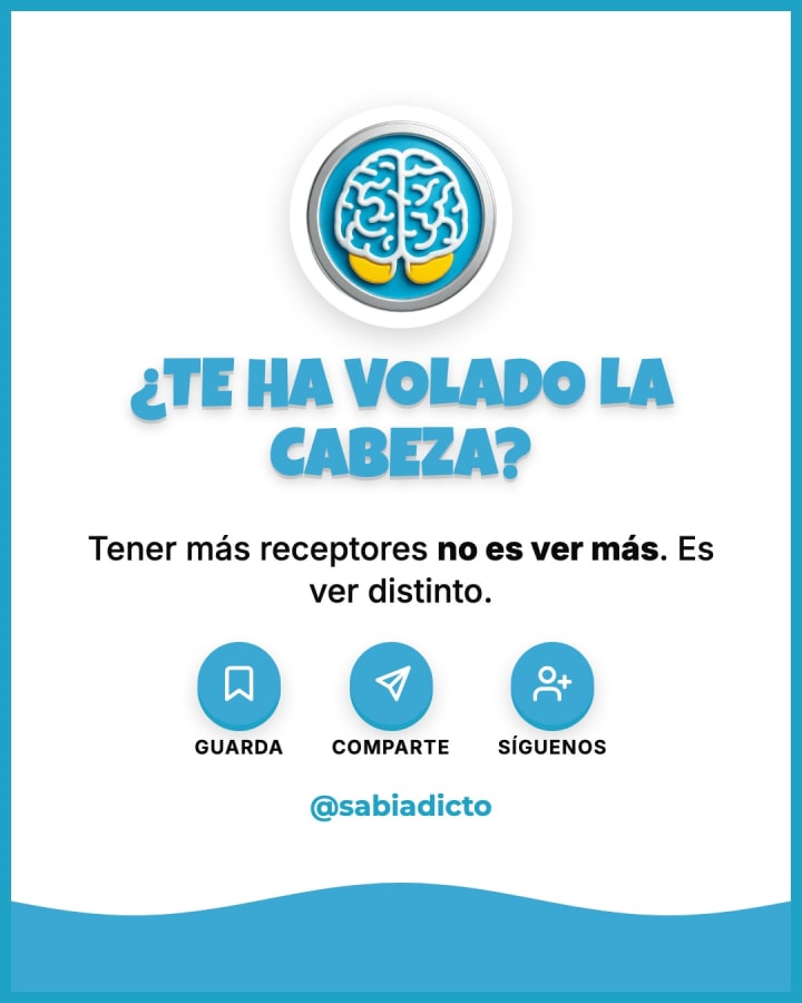 Tener más receptores no es ver más. Es ver distinto.