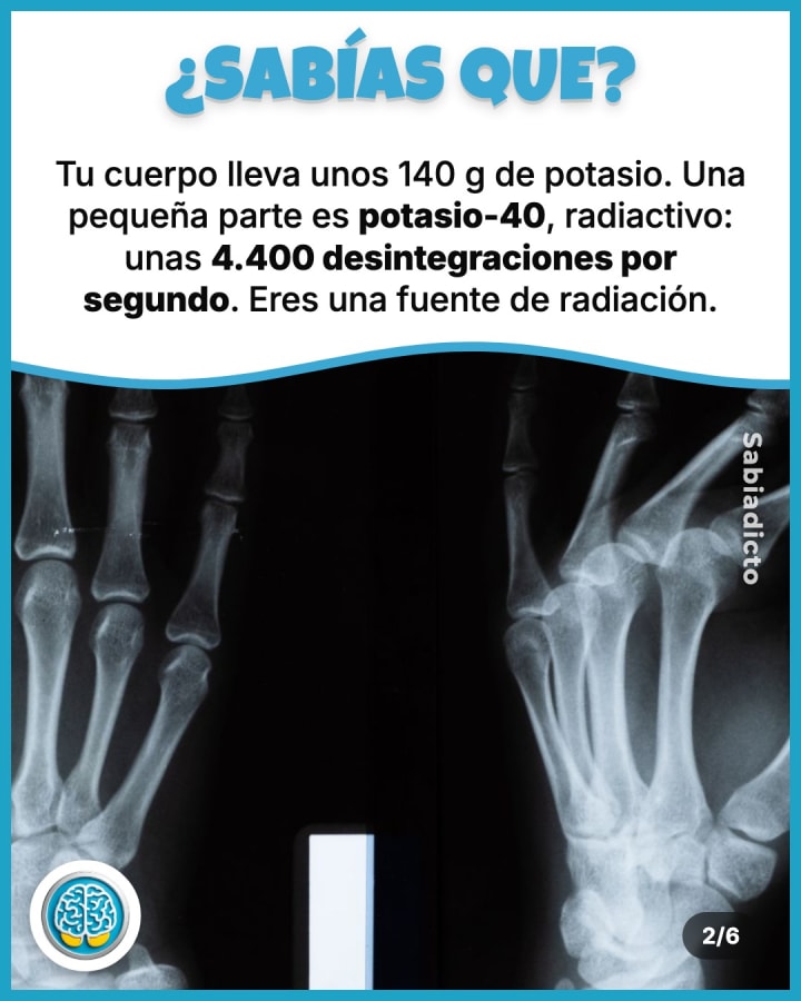 Tu cuerpo lleva unos 140 g de potasio. Una pequeña parte es potasio-40, radiactivo: unas 4.400 desintegraciones por segundo. Eres una fuente de radiación.