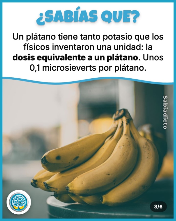 Un plátano tiene tanto potasio que los físicos inventaron una unidad: la dosis equivalente a un plátano. Unos 0,1 microsieverts por plátano.  