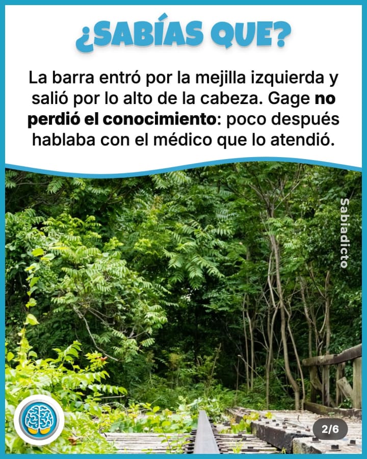 La barra entró por la mejilla izquierda y salió por lo alto de la cabeza. Gage no perdió el conocimiento: poco después hablaba con el médico que lo atendió.