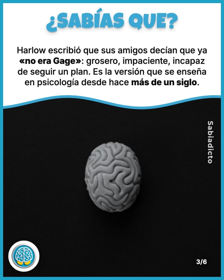 Harlow escribió que sus amigos decían que ya «no era Gage»: grosero, impaciente, incapaz de seguir un plan. Es la versión que se enseña en psicología desde hace más de un siglo.