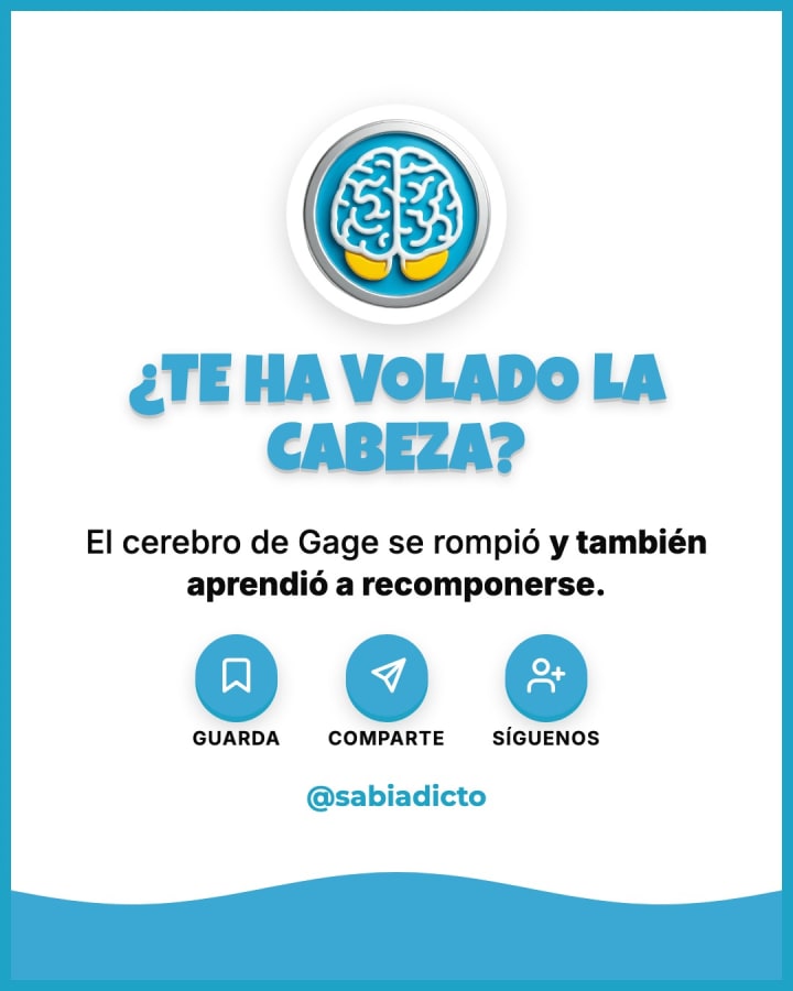 El cerebro de Gage se rompió y también aprendió a recomponerse.