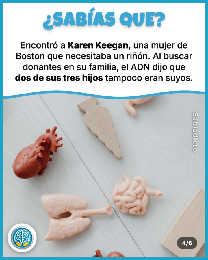 Encontró a Karen Keegan, una mujer de Boston que necesitaba un riñón. Al buscar donantes en su familia, el ADN dijo que dos de sus tres hijos tampoco eran suyos.