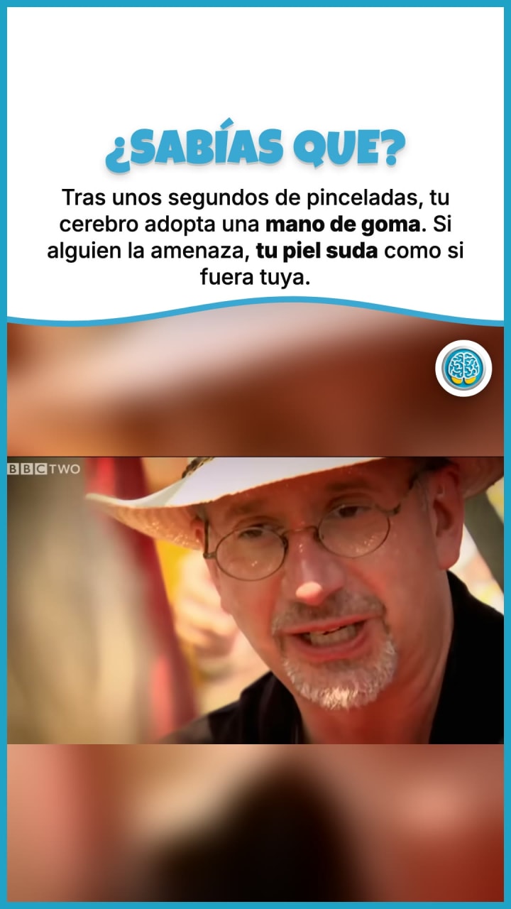 Tras unos segundos de pinceladas, tu cerebro adopta una mano de goma. Si alguien la amenaza, tu piel suda como si fuera tuya.