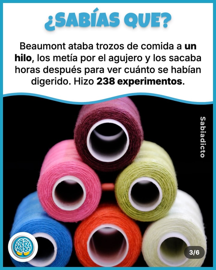 Beaumont ataba trozos de comida a un hilo, los metía por el agujero y los sacaba horas después para ver cuánto se habían digerido. Hizo 238 experimentos.