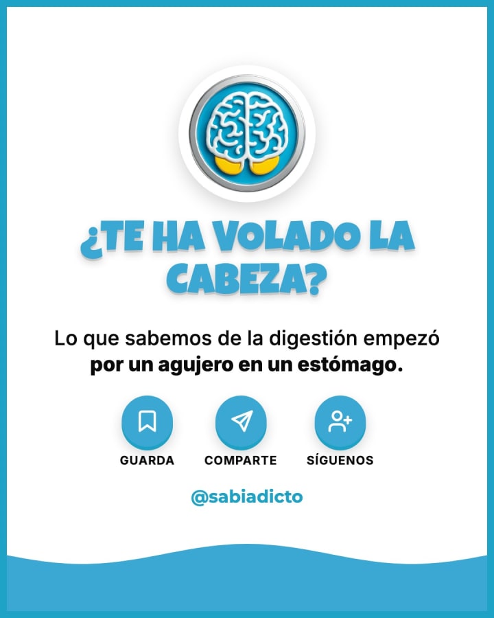 Lo que sabemos de la digestión empezó por un agujero en un estómago.