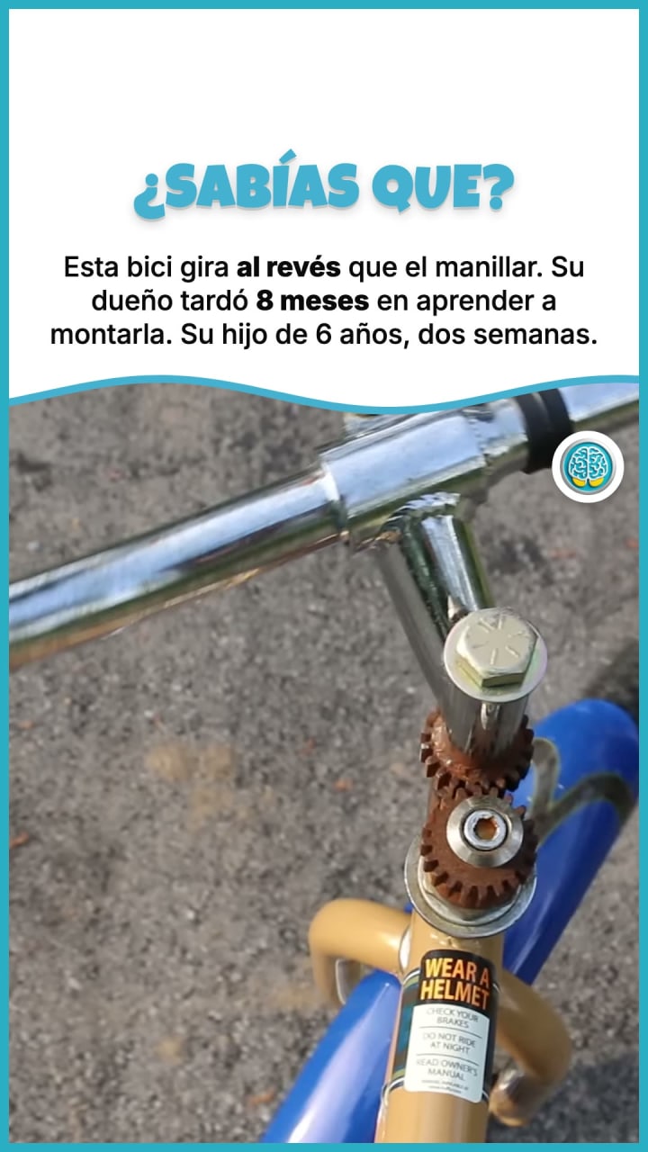 Esta bici gira al revés que el manillar. Su dueño tardó 8 meses en aprender a montarla. Su hijo de 6 años, dos semanas.