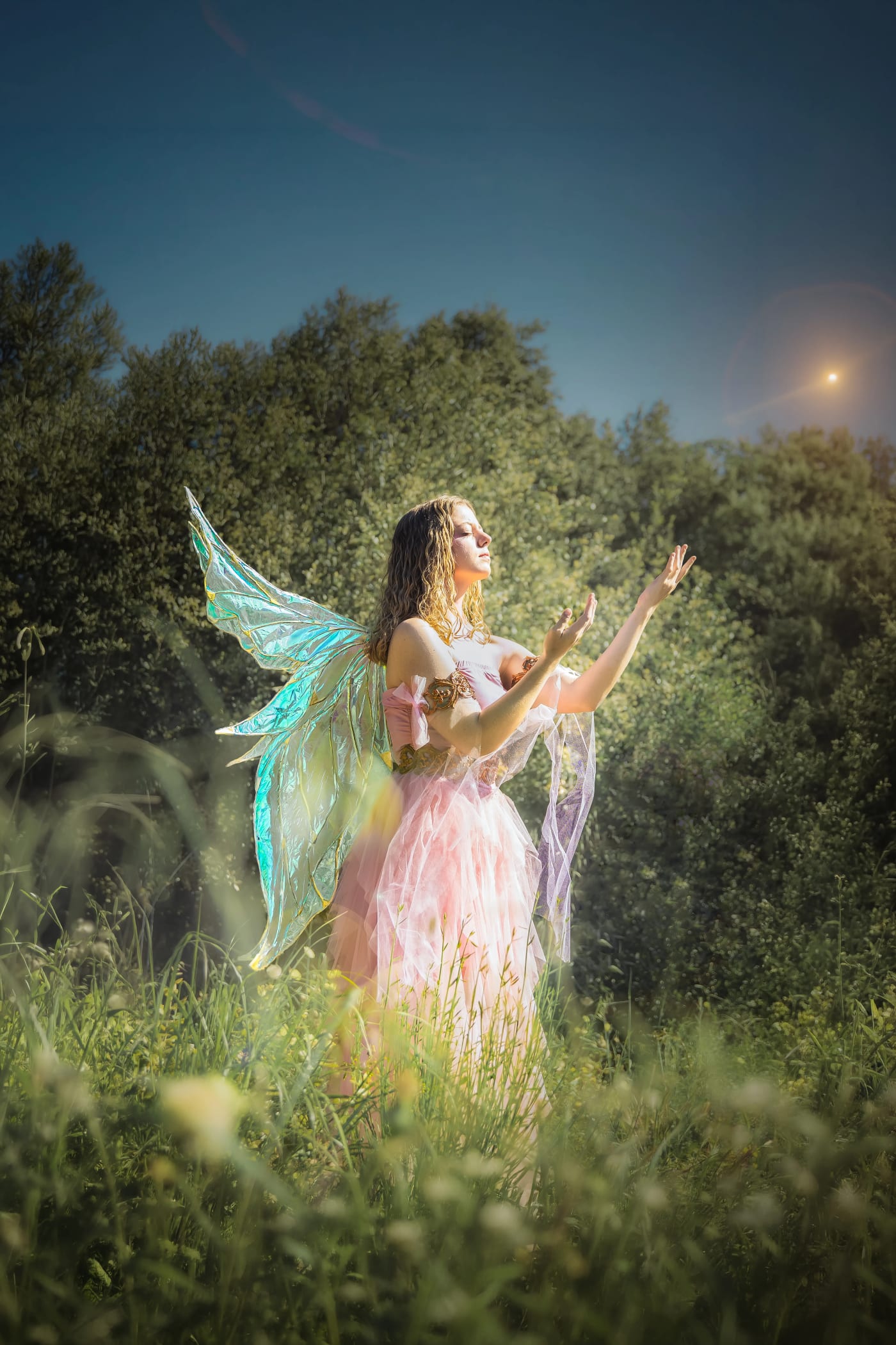Fantaisie