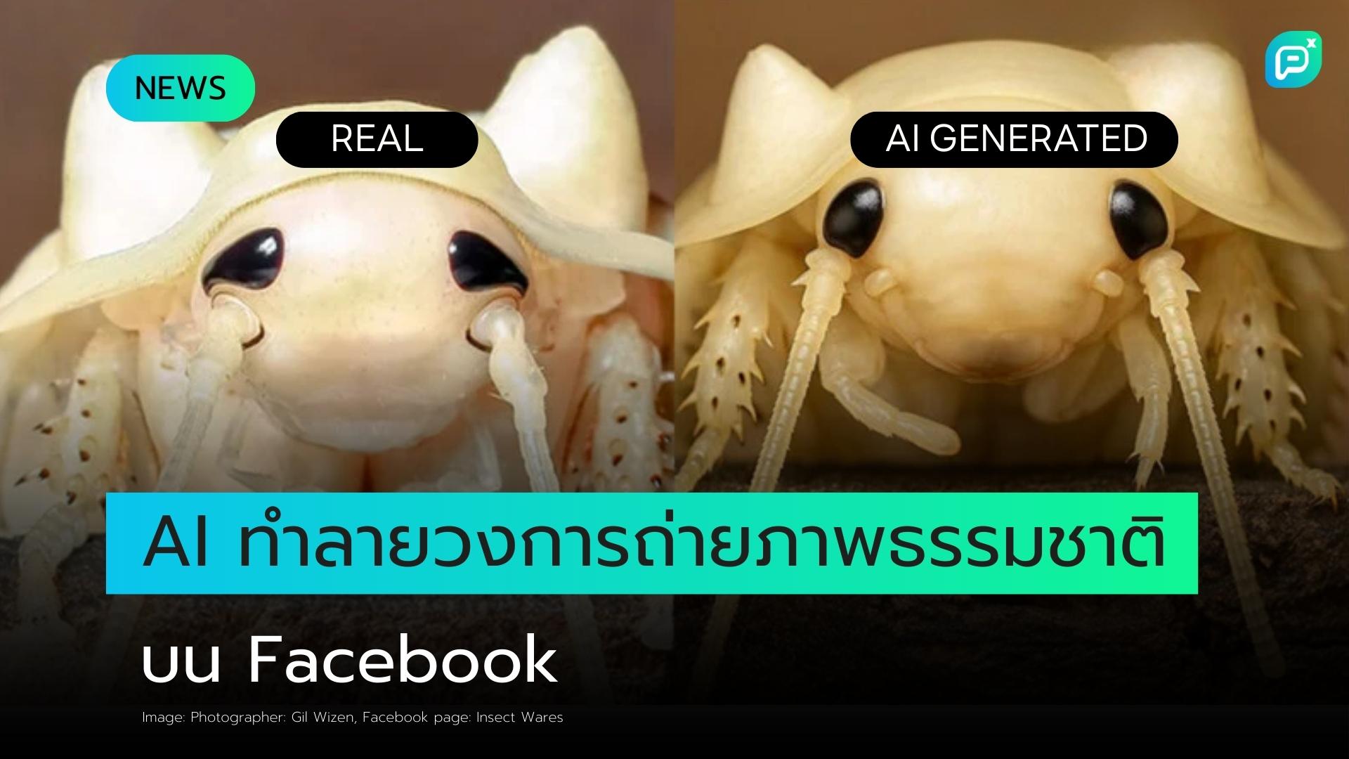 AI กำลังทำลายการถ่ายภาพธรรมชาติบน Facebook