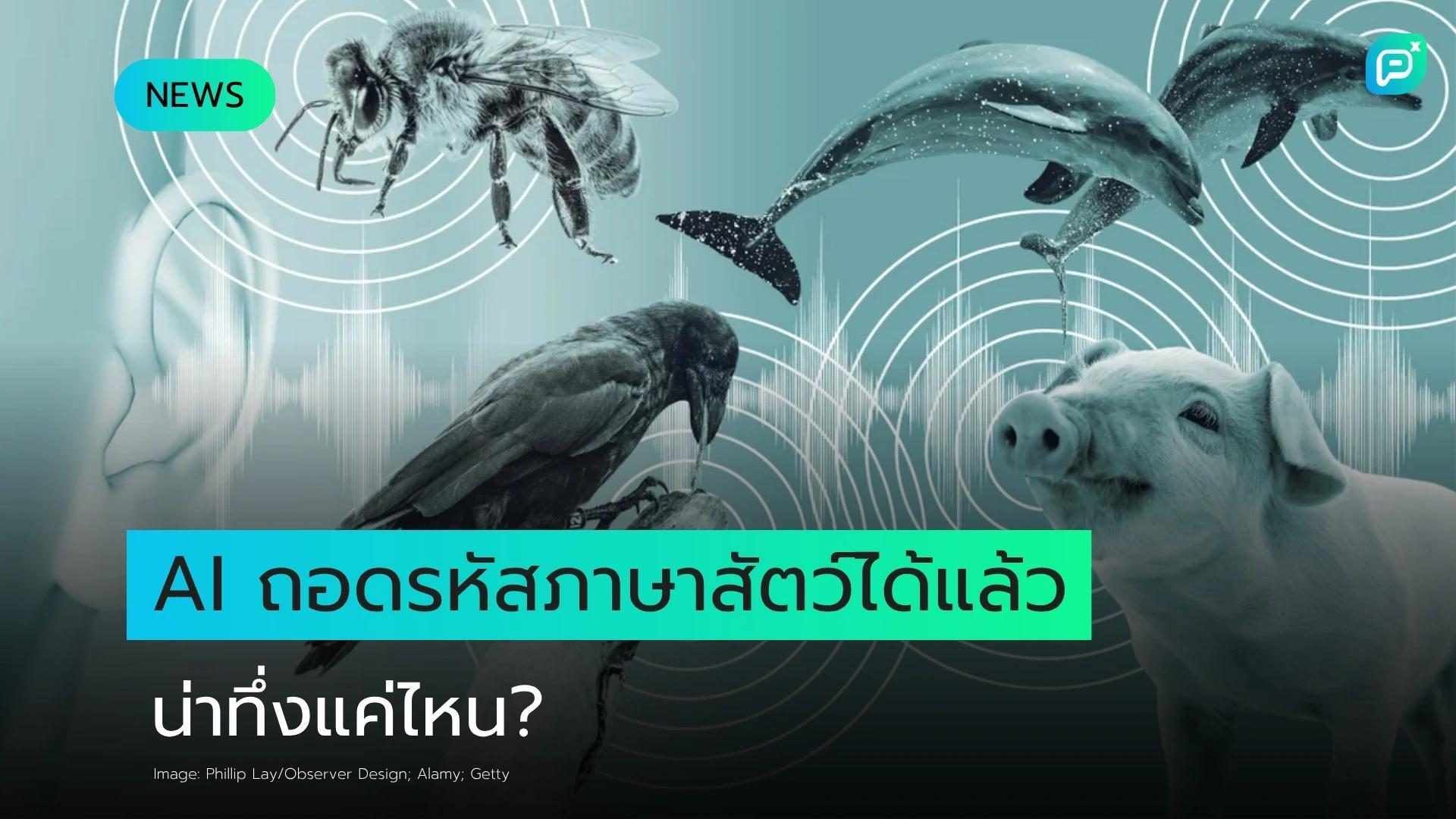 AI เริ่มถอดรหัสภาษาสัตว์ และสิ่งที่ค้นพบนั้นน่าทึ่งเกินคาด