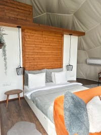 Forest Domes — Pine Silence — photo 2