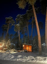 Walnut House — A Quiet Retreat in Kulautuva — photo 2