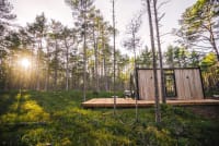 Stay ÖÖD Rooslepa — Forest Mirror Home — photo 4