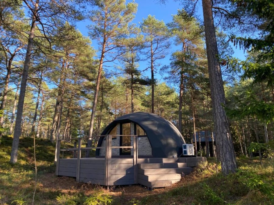 Pokemaja Nõva männimetsas — Pine Forest Sanctuary