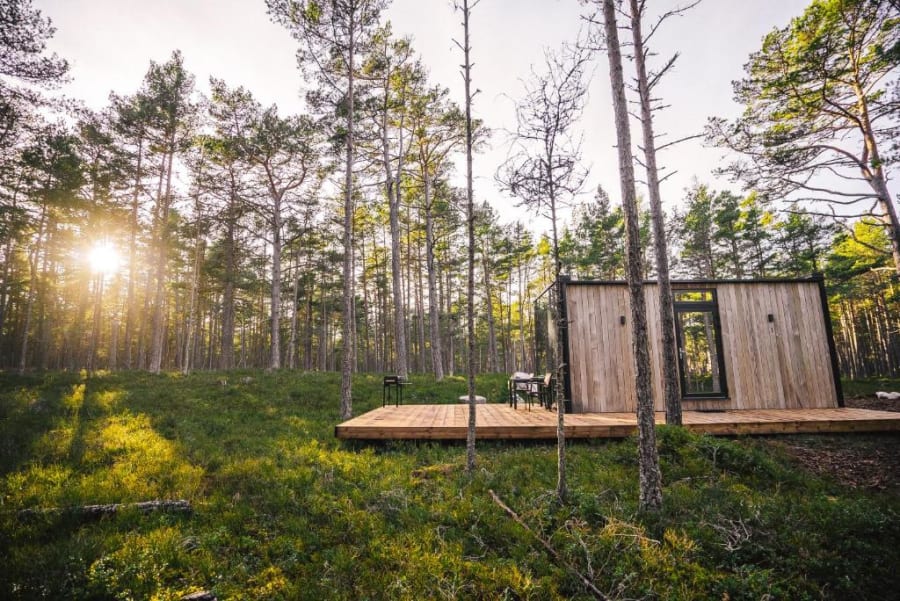 Stay ÖÖD Rooslepa — Forest Mirror Retreat