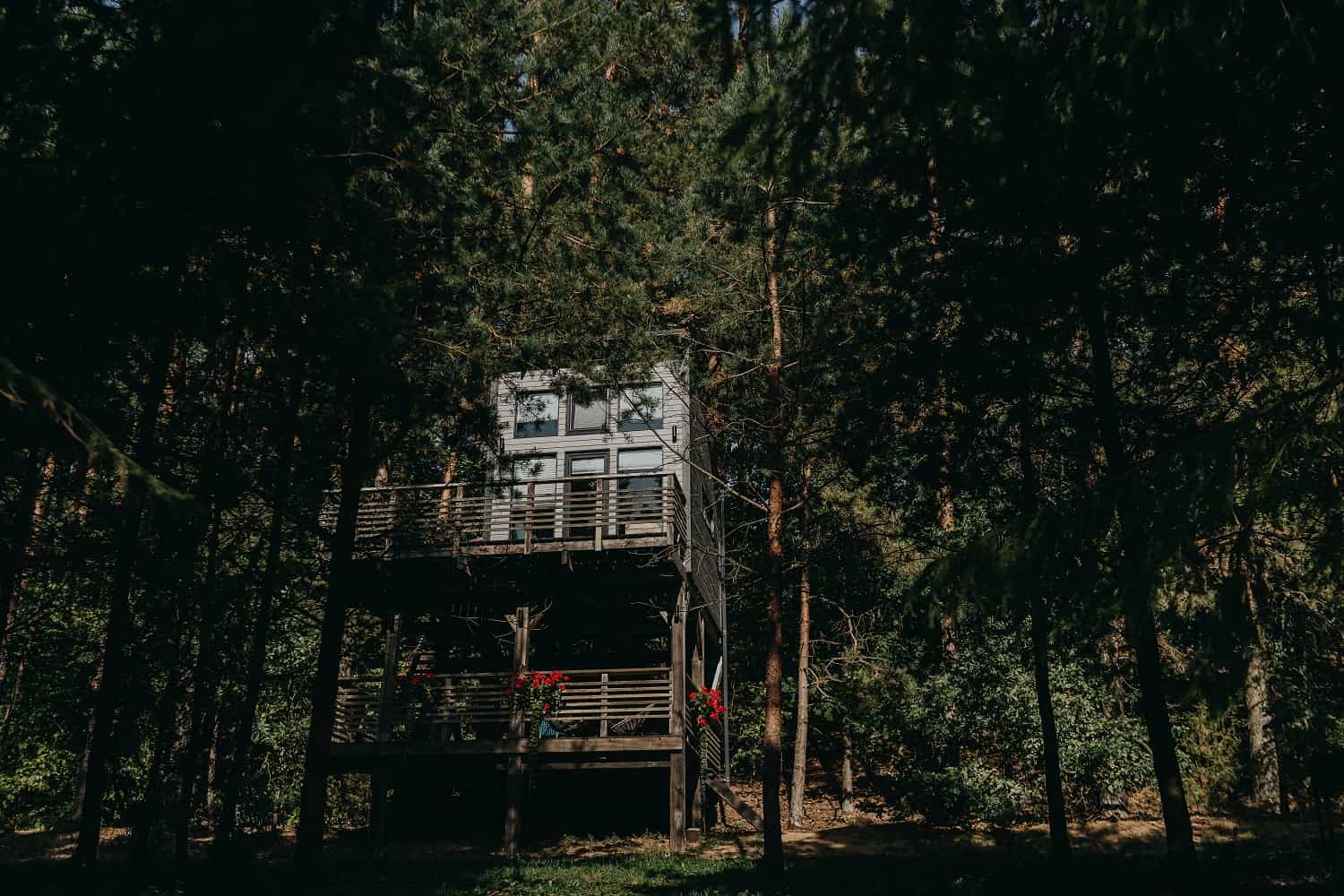 Namiņš kokā — 6