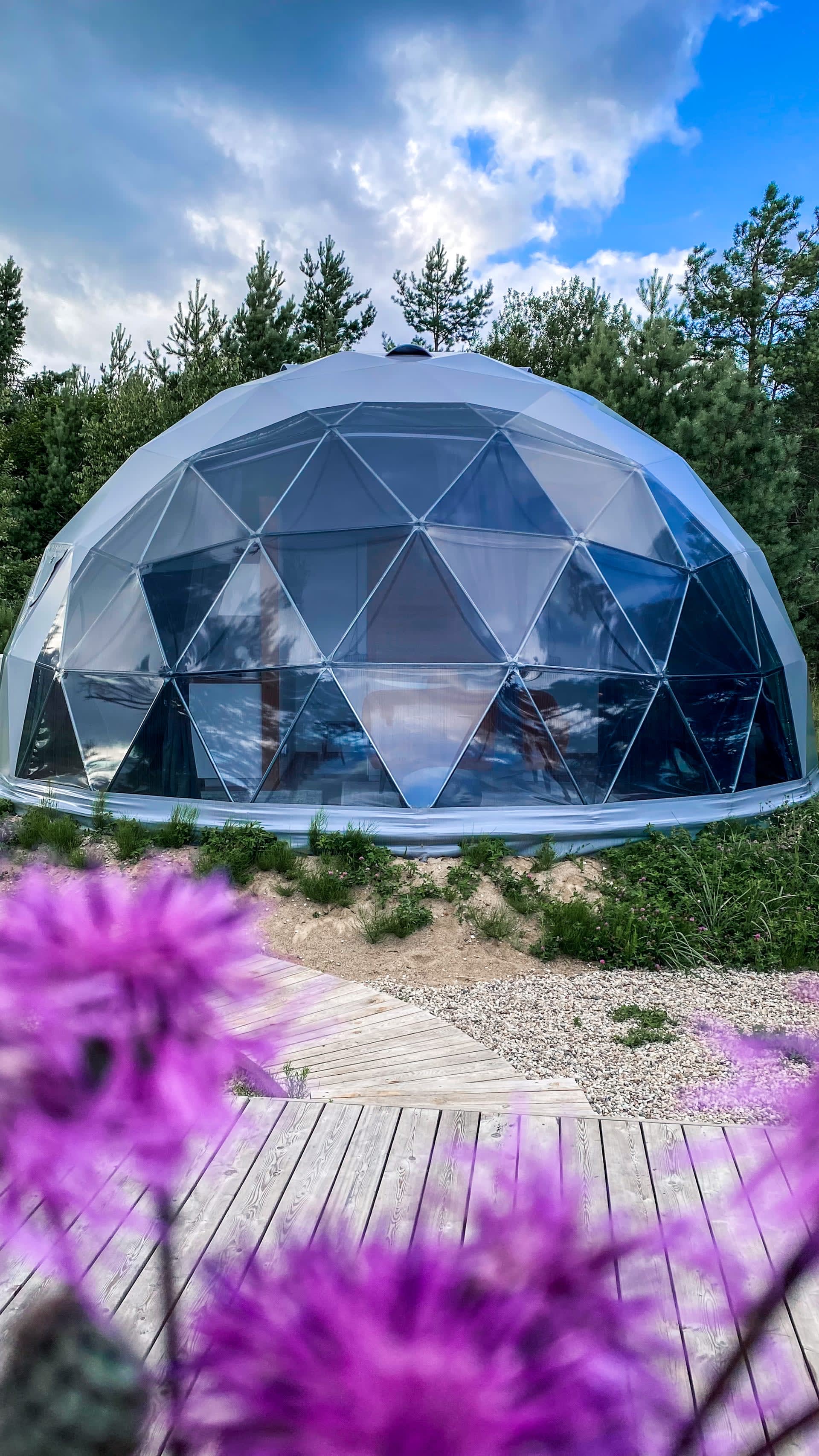 Forest Domes — Priežu miers — 6