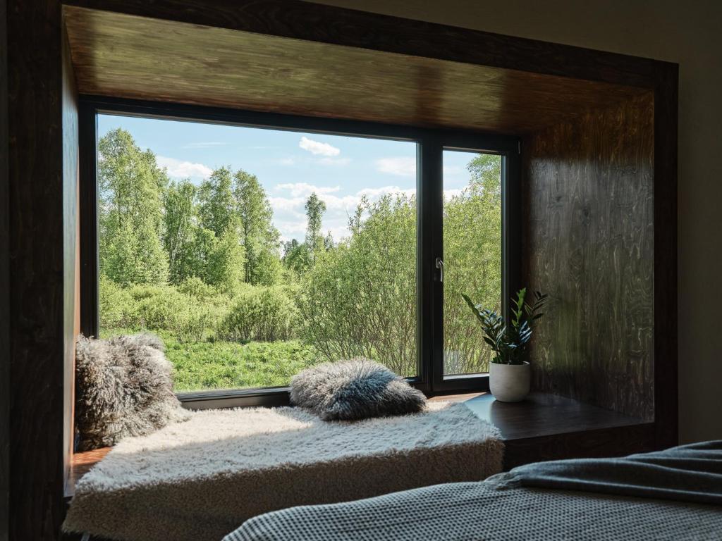 Maidla Dabas kūrorts — Meža svētnīca Igaunijā — 6