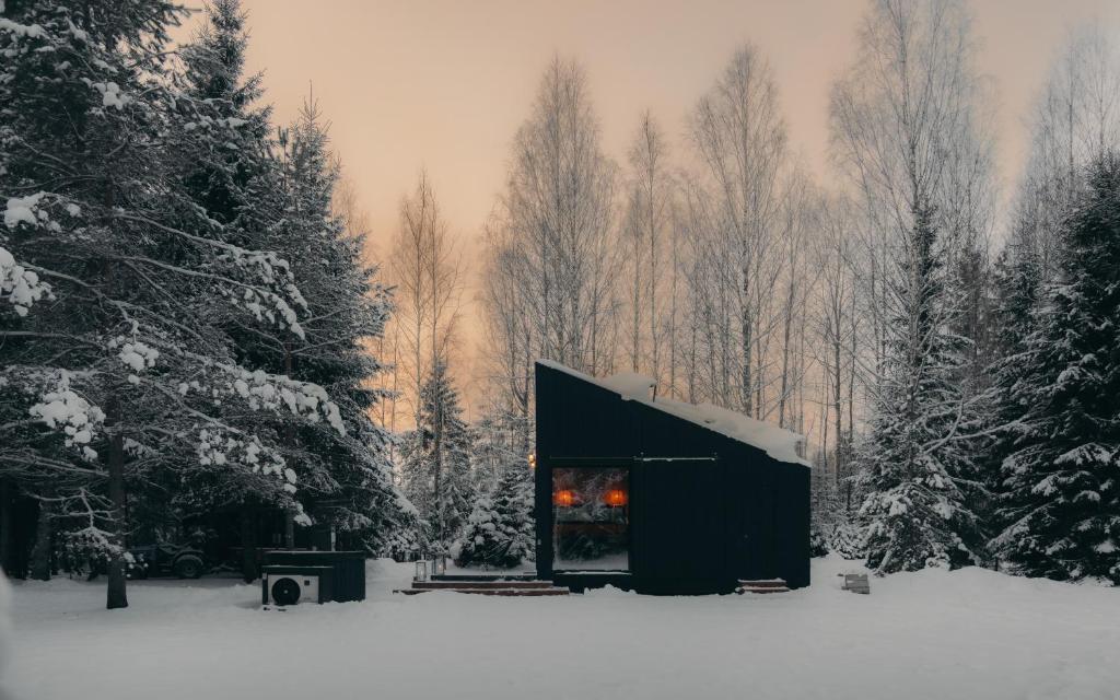 Briežu Stacija Forest Cabin — Forested Serenity