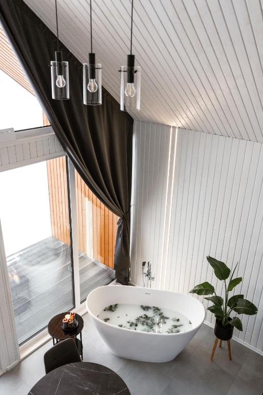 Sniegi Design — Latvijas meža svētnīca — 6