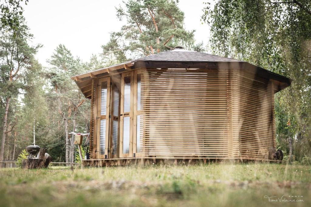 Mājiņa kokā Ciekurs – Ezera rāmums koku lapotnē — 6