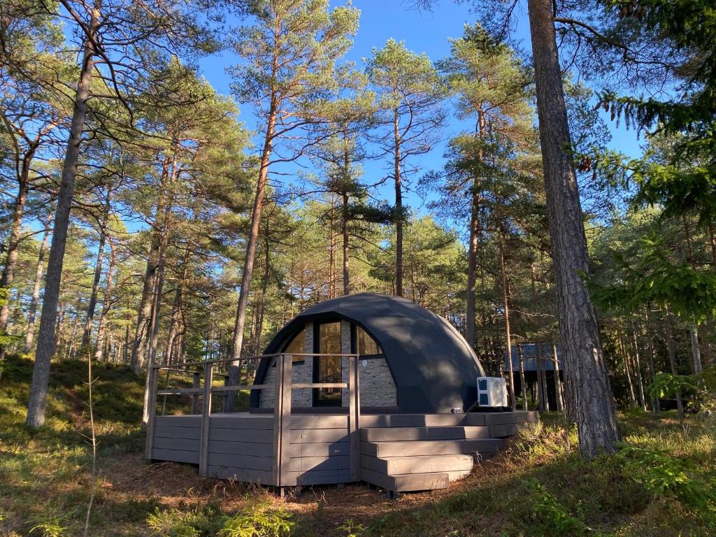 Pokemaja Nõva männimetsas — Pine Forest Sanctuary