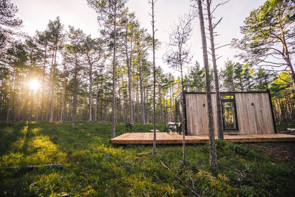 Stay ÖÖD Rooslepa — Forest Mirror Retreat