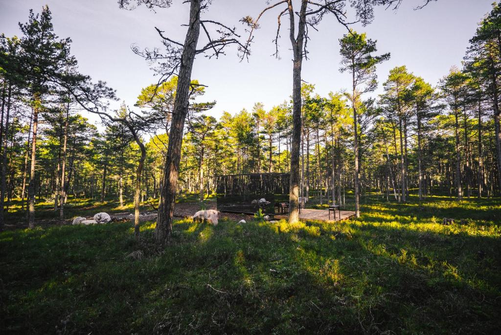 Stay ÖÖD Rooslepa — Meža Spoguļmājas Atpūtas Osta — 6