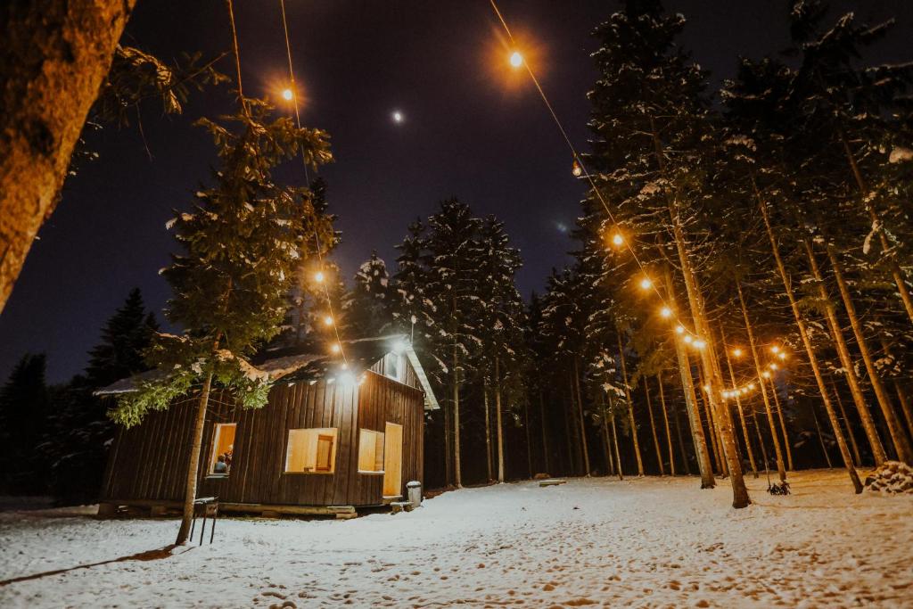 Upeskrasti — Riverside Serenity in Latvian Nature