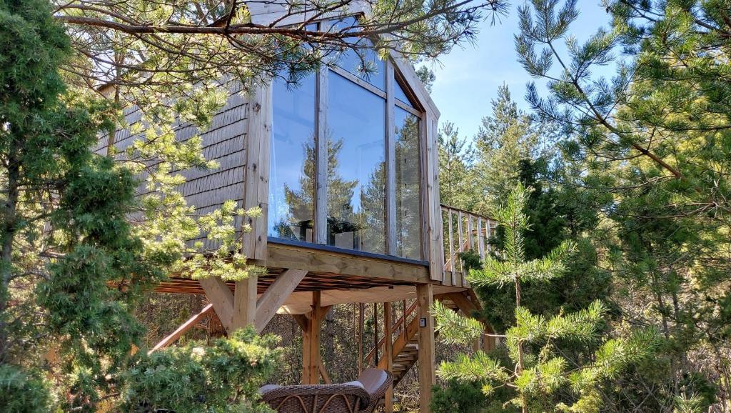 Üügumetsa Treehouse — Coastal Solitude on Saaremaa