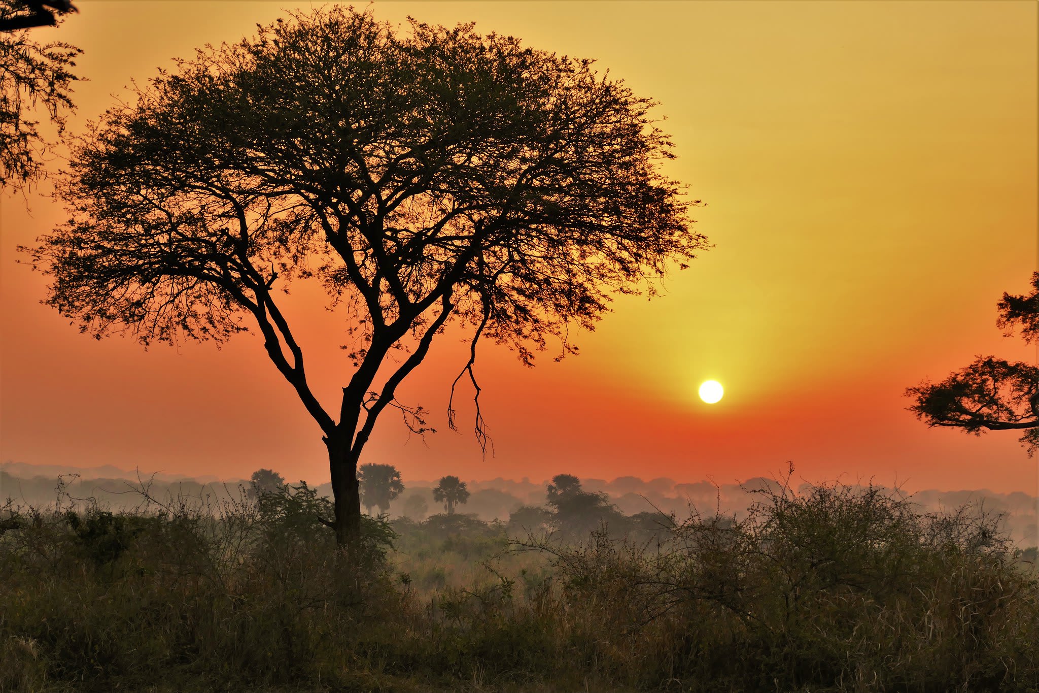 Lake mburo