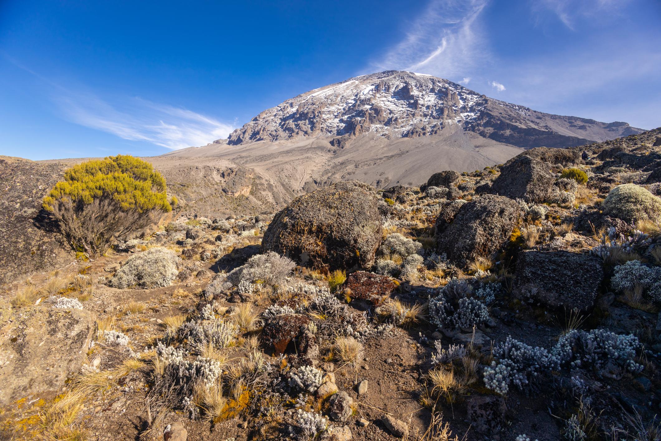kilimanjaro national park
