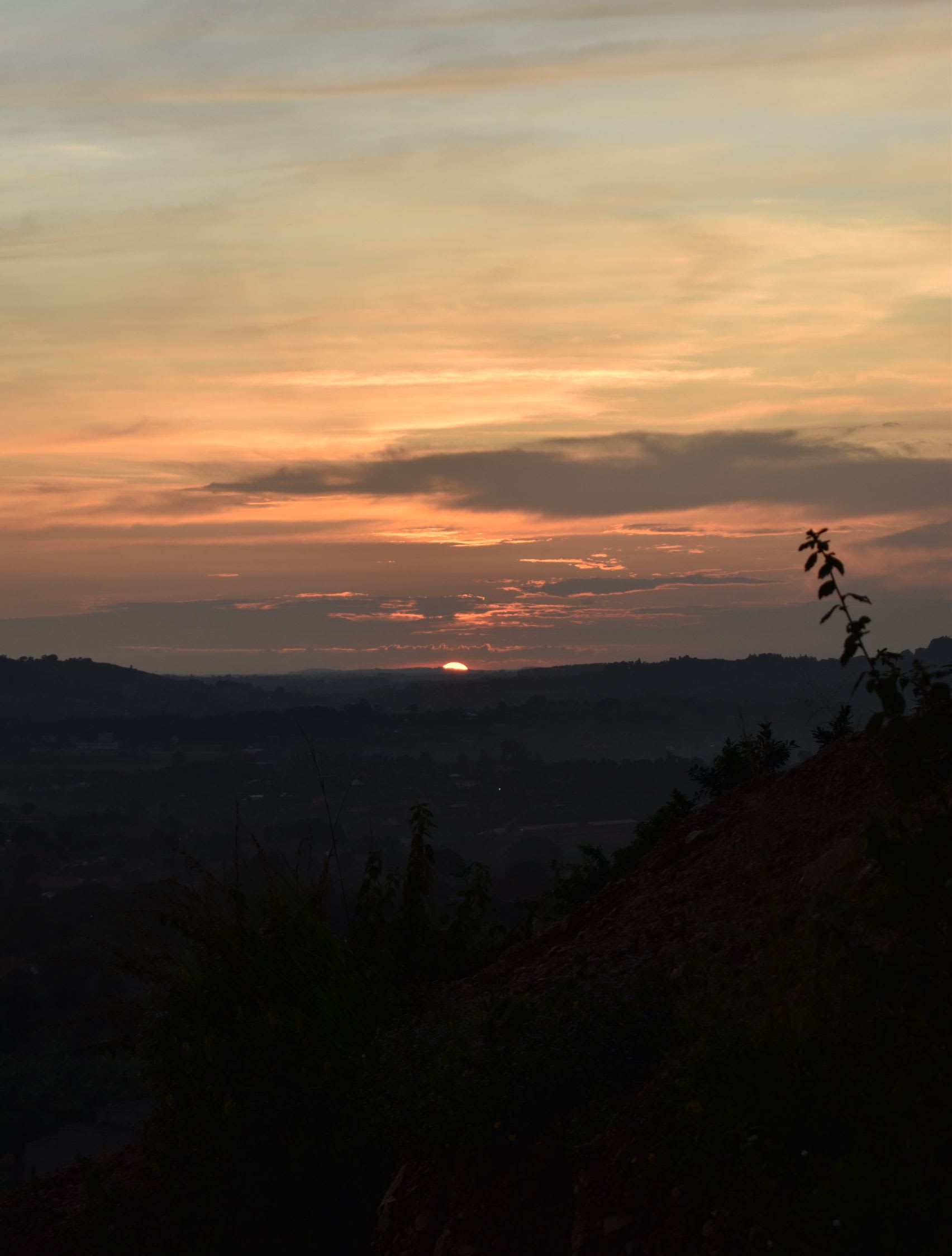 Acacia silhouettes against an orange savannah sunset