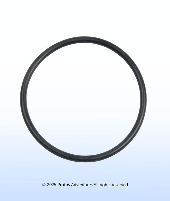 Carlson Pump Rubber O-ring
