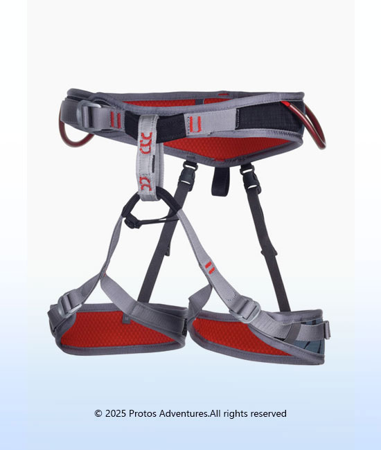 FLINT - Harness