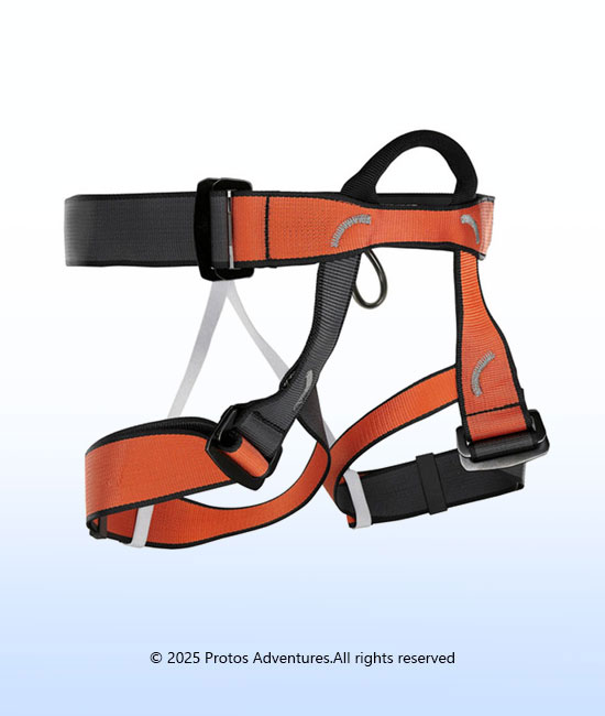 GROUP III - Harness
