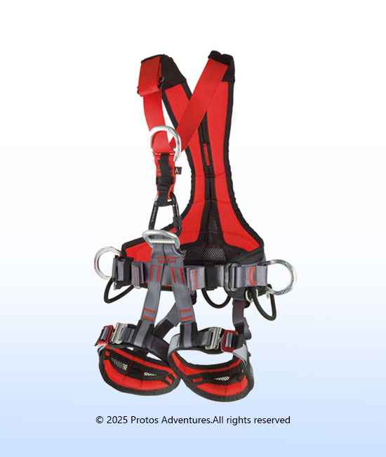GOLDEN TOP EVO ALU - Full body harness