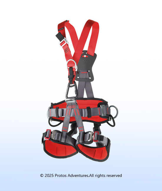 GOLDEN TOP PLUS - Full body harness