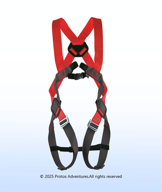 BASIC DUO - Full body harness