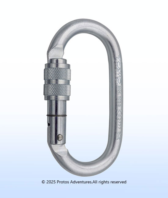 OVAL STEEL PRO LOCK - Carabiner