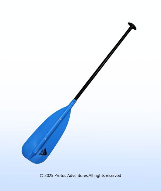 Waves Client Paddle