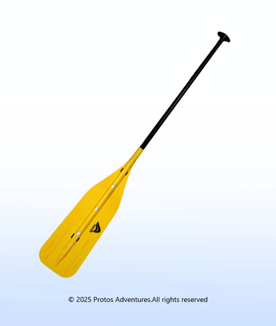 Waves Guide Paddle
