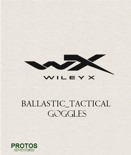 Ballastic Tactical Goggles