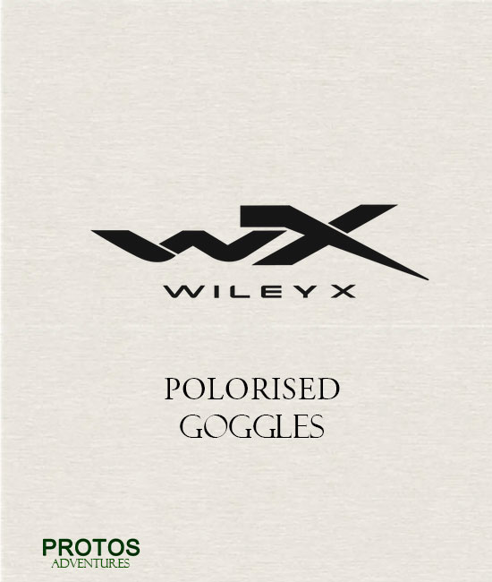 Polorised Goggles